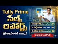 Tally Prime Sales Reports in Telugu | Monthly, Party & Item Wise Reports Explanation