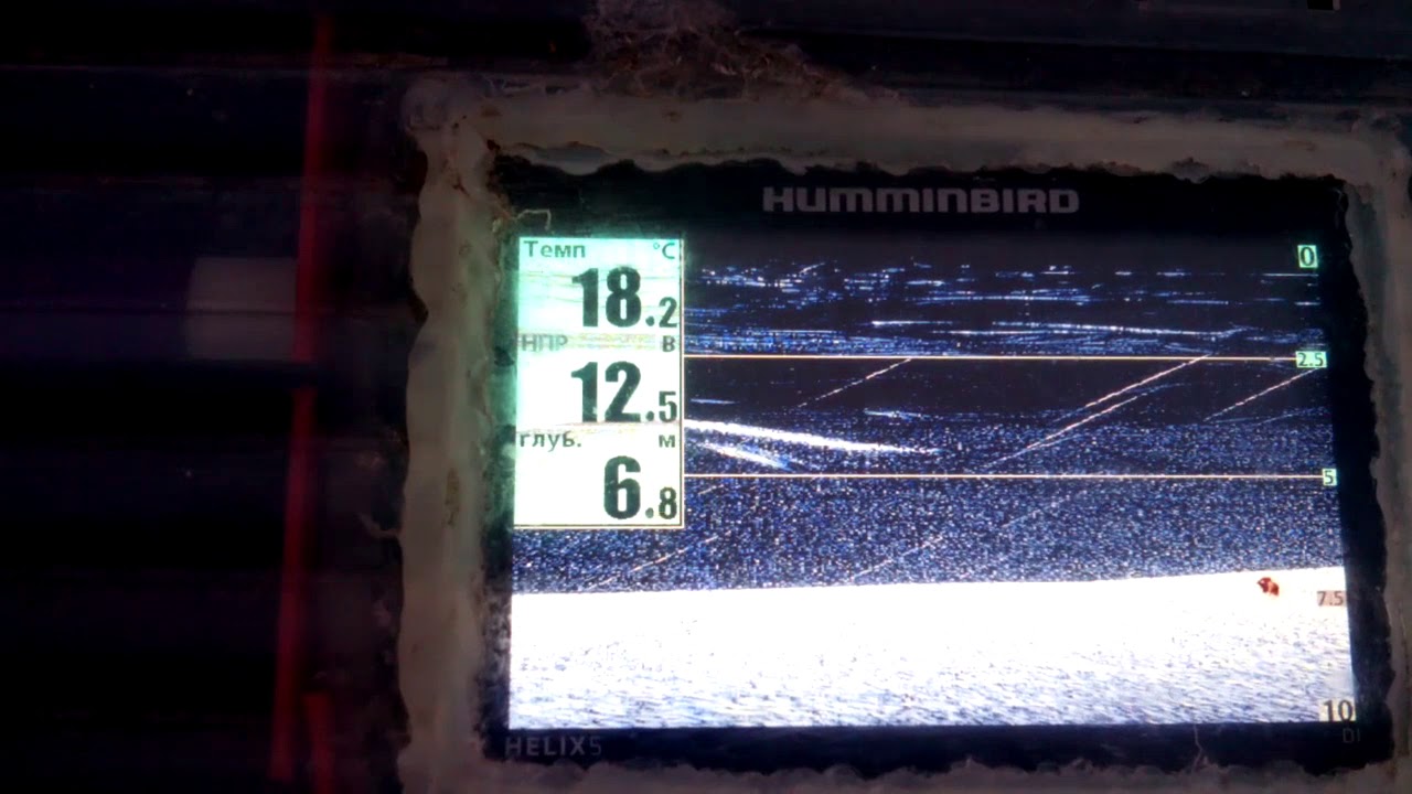 Сом на эхолоте  Helix 5 DI