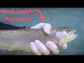 Handline fishing for river trout