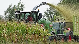 Mais Silage with Fendt Katana + Fendt Favorit | BMWW | 2020