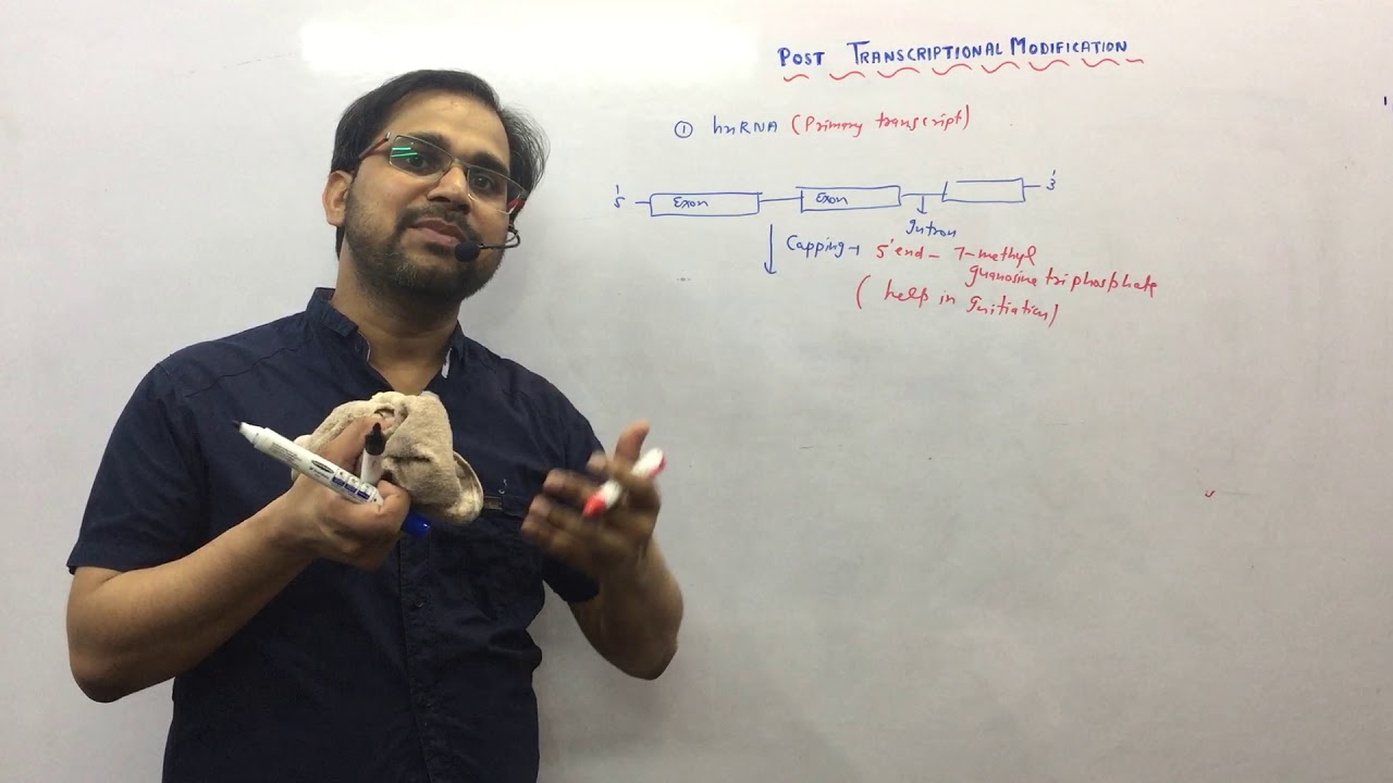 RNA-post transcriptional modification