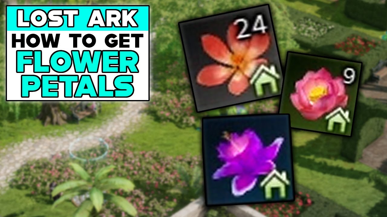LOST ARK How To Get FLOWER PETALS - YouTube