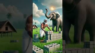 Httpsyoutubecomshortsoeqrrw869zasi3mso0x1mdwiar0l