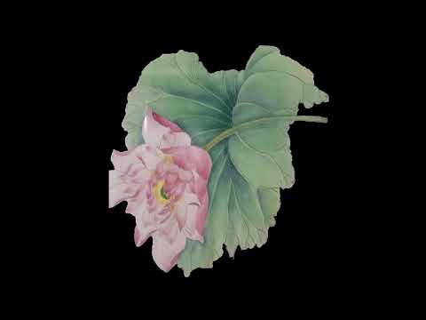 黃明輝台語唸成語 ~第210集