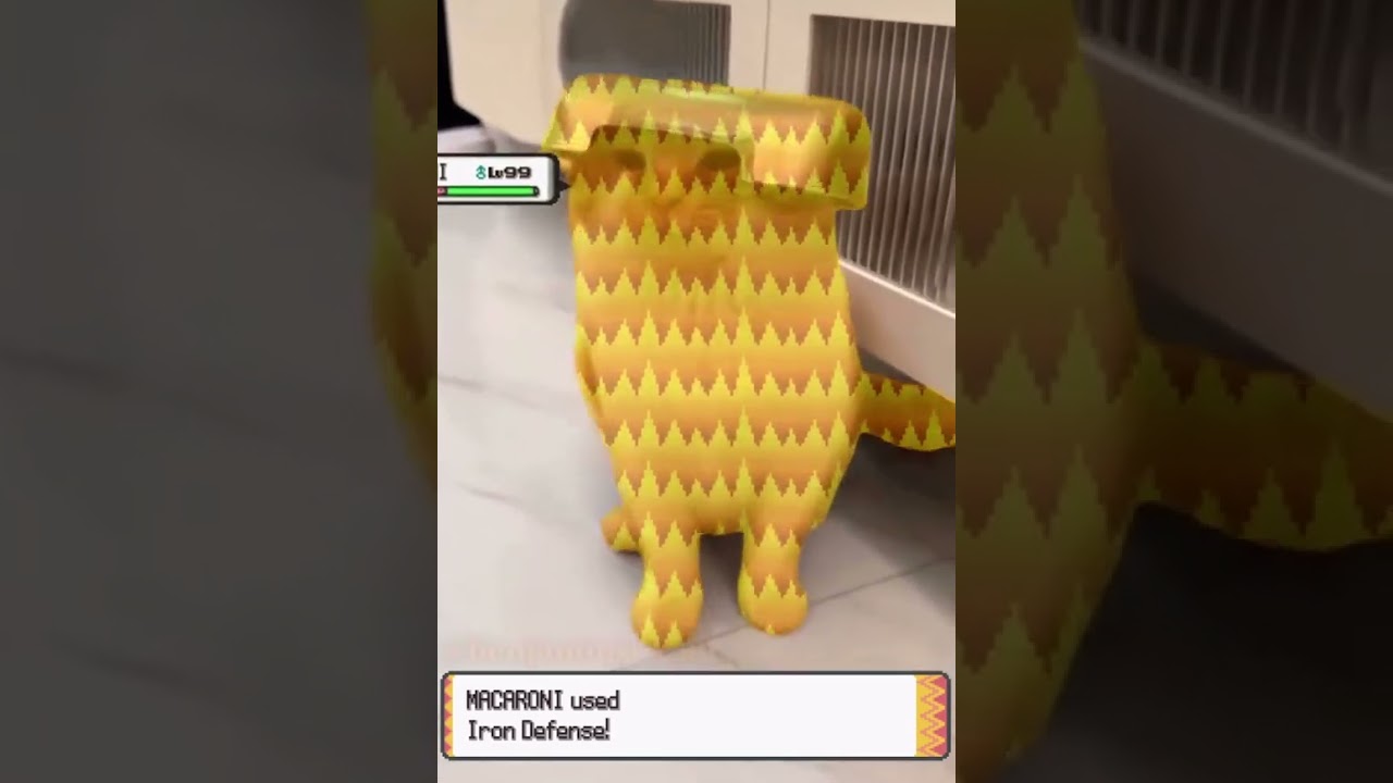 cat equipped: +10 iron defense 🛡️🐱🧡