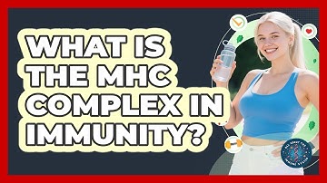 What Is The MHC Complex In Immunity? - All About the Immune System