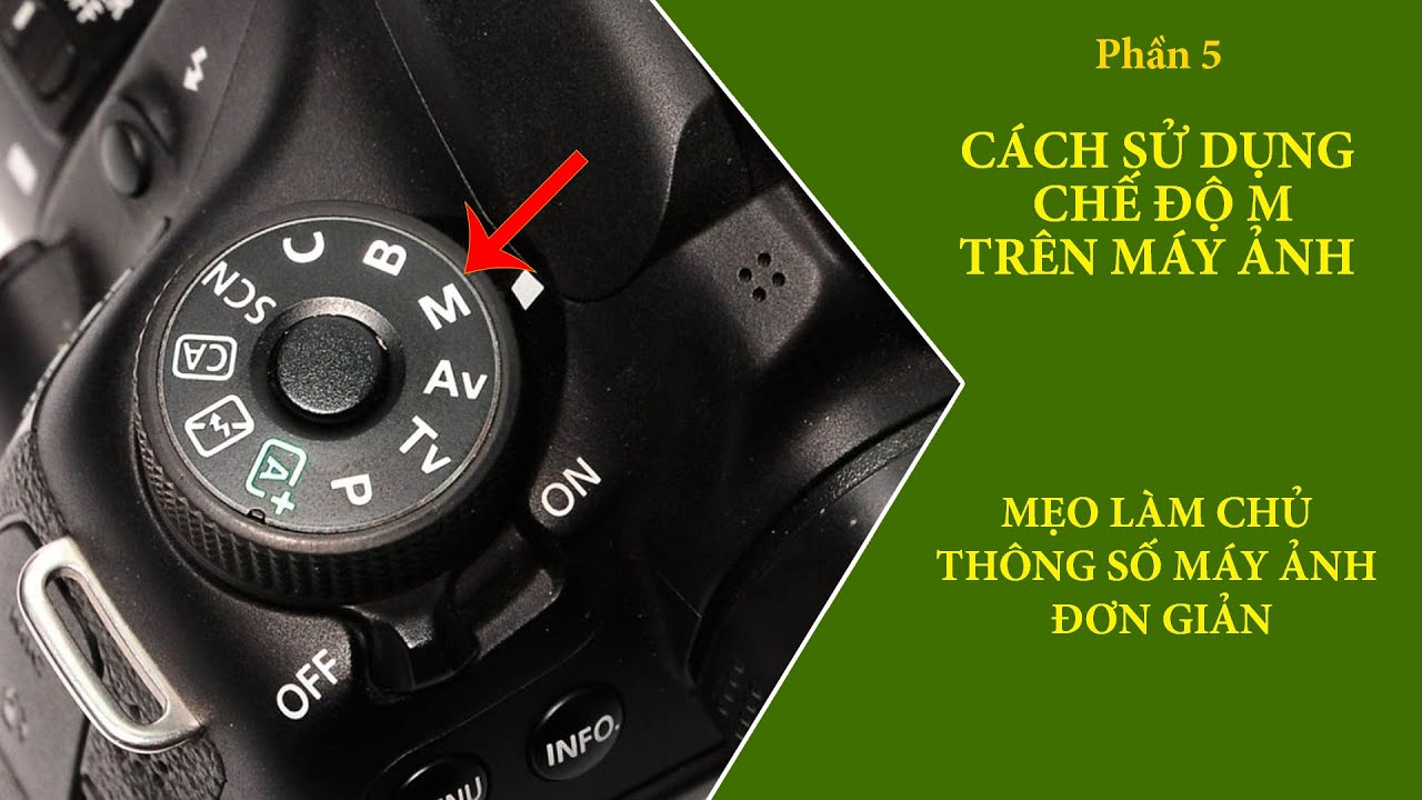 Cách sử dụng chế độ M trên máy ảnh để chỉnh tốc, khẩu độ, ISO chụp ...