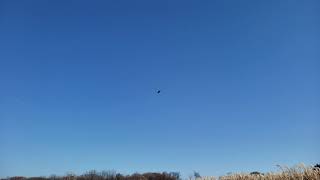 F15 w/Flite Test C pack