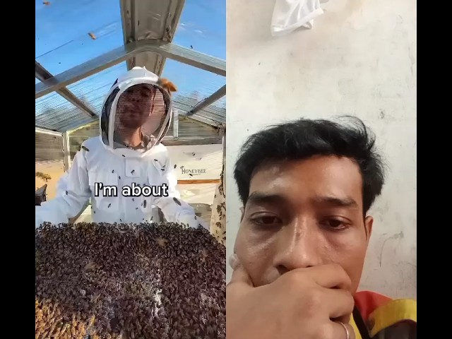 aku menjatuhkan 100rb lebah ke temanku #shorts #mrbeast2