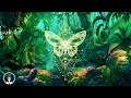 The butterfly effect ⁂ raise your vibration ⁂ positive aura cleaning ⁂ Music 432Hz