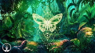 The butterfly effect ⁂ raise your vibration ⁂ positive aura cleaning ⁂ Music 432Hz