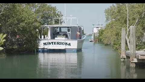 ALL-TERRAIN SEWER: Cleaning up the Keys, Part 2