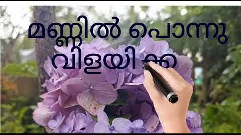 FIRST BELL 2.0 Basic Science of class 07