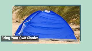Beach Hacks E.l. Webster Insurance Agency