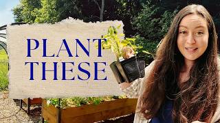 Every Pepper, Tomato & Eggplant Plant I'm Growing This Year