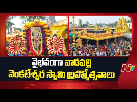 Vadapalli Venkateswara Swamy: వైభవంగా వాడపల్లి వెంకటేశ్వర స్వామి బ్రహ్మోత్సవాలు | NTV Telugu - NTVTELUGU