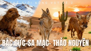 Cáo Bắc Cực, Sói Bờm Và Chó Hoang: Bộ Ba Thợ Săn Thống Trị Môi Trường Khắc Nghiệt