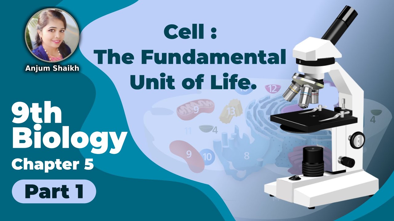 9th Biology Chapter 5 / Part 1  YouTube