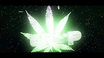 //TrapArtz\\ [Fan Intro] (1/3) DESC. Lesen (Render Fehler)