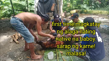 First time magkatay ng alaga nating native na baboy.para may ulam.