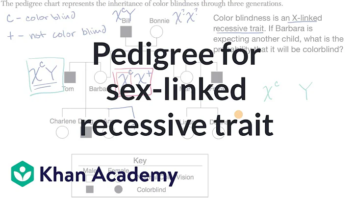 Pedigree for determining probability of exhibiting sex linked recessive trait | Khan Academy