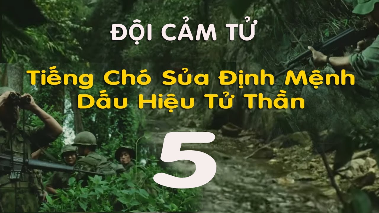 Đội Cảm Tử (5): Mùi Khét Quân Địch Dấu Hiệu Tử Thần Và Tiếng Chó Sủa Định Mệnh-Hồi Ký Đặc Công VN