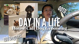 DAY IN A LIFE | HOUSE CALL DOG GROOMING