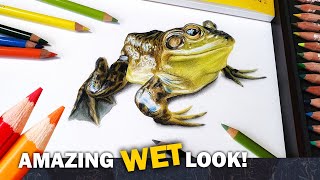 How to draw wet surfaces * Drawing aquatic animals with colored pencil * Drawing a frog tutorial