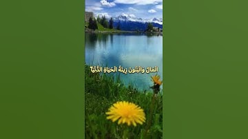 الْمَالُ وَالْبَنُونَ زِينَةُ الْحَيَاةِ الدُّنْيَا ۖ ❤️#مع_القرآن #راحة_نفسية #سورة_الكهف
