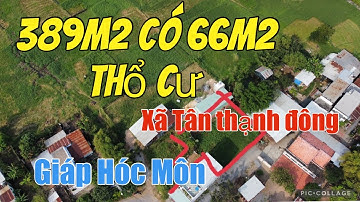 389m2 có 66m2 Thổ Cư | Mặt Tiền Nhựa 1/ Nguyễn Kim Cương ,xã Tân Thạnh Đông | Giá 2ty3