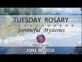 Pray for God's Mercy 💜 June 30, 2026 💜 Tuesday Rosary • Sorrowful Mysteries of the Rosary