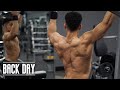 TOTAL BACK WORKOUT / BUILDING A COBRA BACK🐍