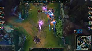 zed 1v3