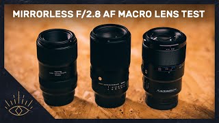 SIGMA 105mm f/2.8 DG DN Macro vs SONY 90mm f/2.8 Macro G OSS vs TOKINA Firin 100mm f/2.8 Macro