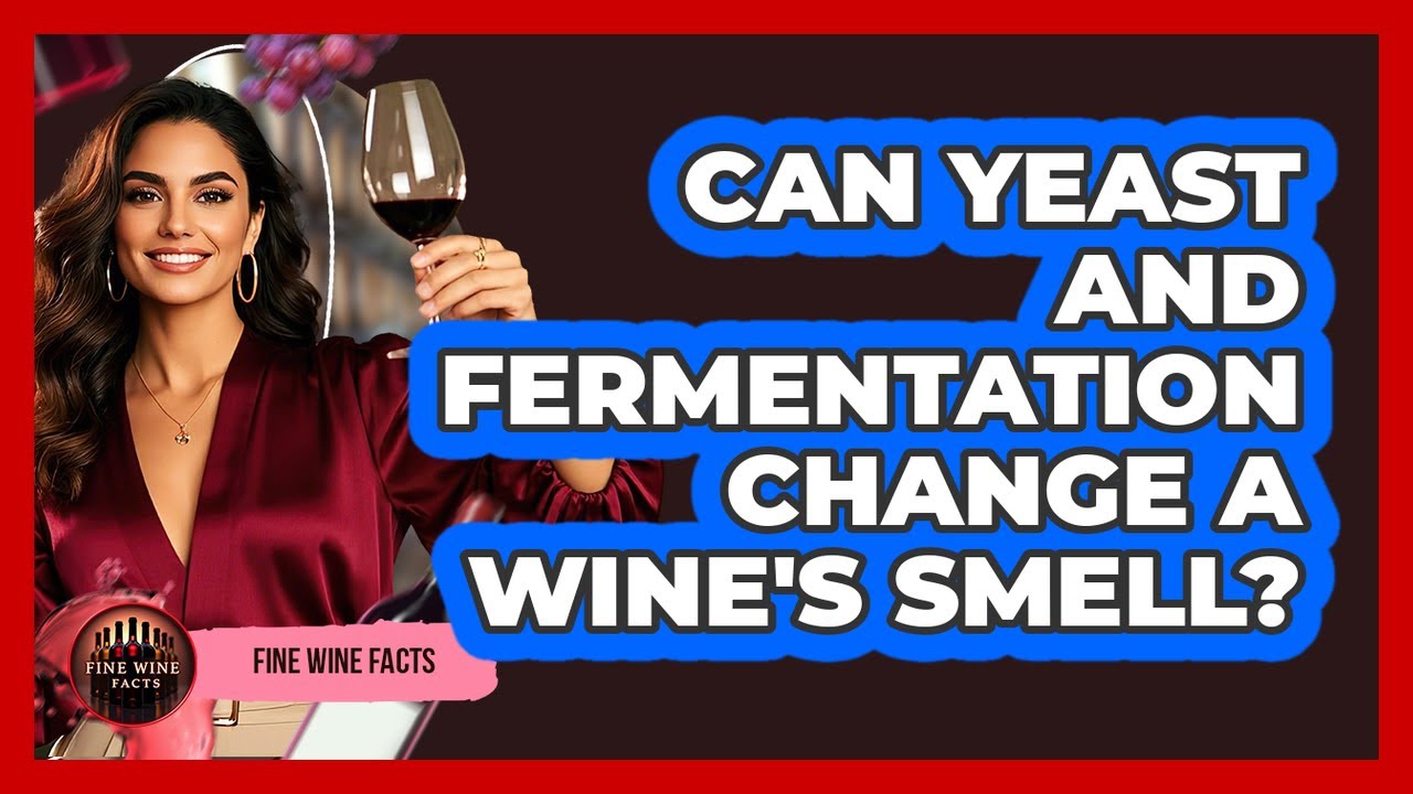 Can Yeast And Fermentation Change A Wine's Smell? - Fine Wine Facts