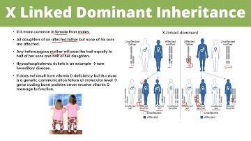 X Linked Dominant Inheritance | Sex linked Inheritance