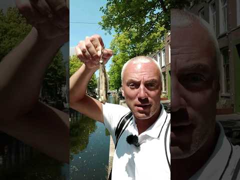 Video: Cultura Olandei