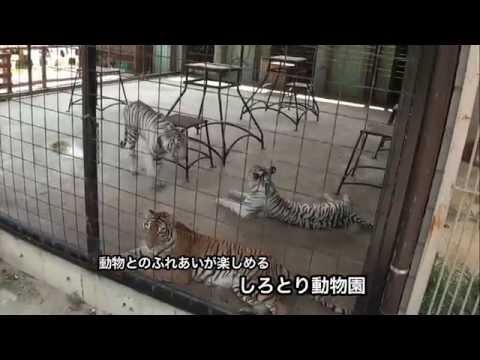 香川県東かがわ市観光PR映像（総集編） 短縮版