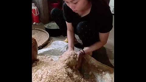 Cách nấu rượu cần ( Phần trộn cơm, trấu, men)