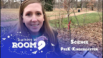Sink or Float | PreK-Kindergarten Science | Teaching In Room 9