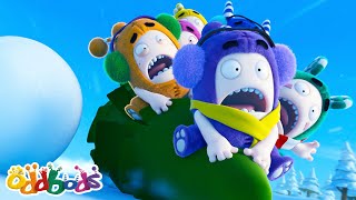 Newt Ruins Christmas?! | Oddbods Cartoons | Funny Cartoons For Kids