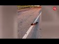 “Hell on the road” - Ukrainian attack drones obliterate Russian military column in Luhansk