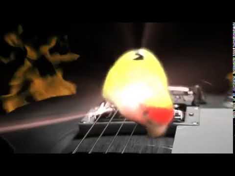 guitar-hero-bird