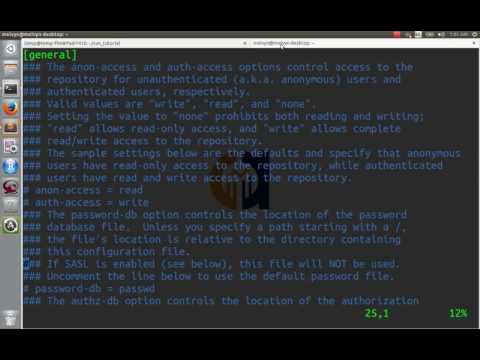 SVN Command Line Tutorial 1