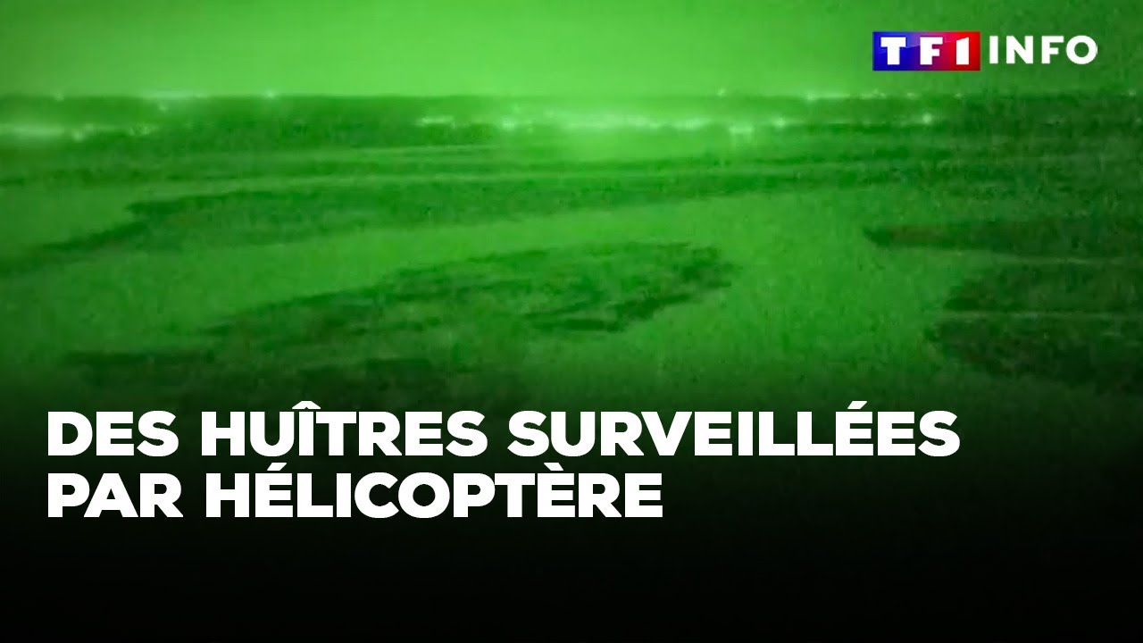 Des huîtres surveillées par hélicoptère｜TF1 INFO