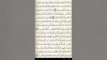 ماهر المعيقلي سورة البقرة مكتوبة صفحة 9 مصحف المدينة المنورة جودة عالية