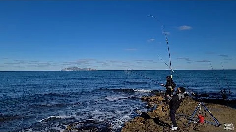 Cosa si pesca nel mese di gennaio?