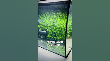 Fluval Flex 34L Aquascape Moss Net Panel Wall for Aquarium Tank Decoration Deko Moos pflanzen