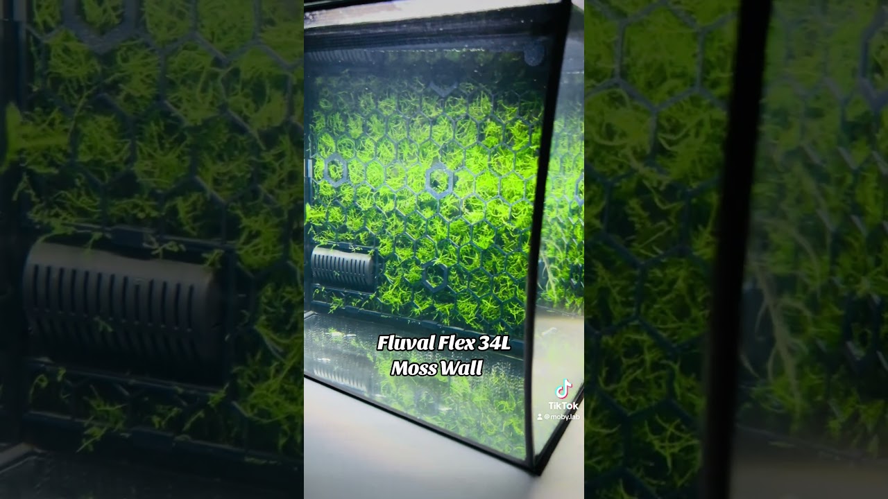 Fluval Flex 34L Aquascape Moss Net Panel Wall for Aquarium Tank Decoration Deko Moos pflanzen