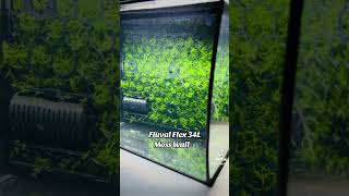 Fluval Flex 34L Aquascape Moss Net Panel Wall for Aquarium Tank Decoration Deko Moos pflanzen